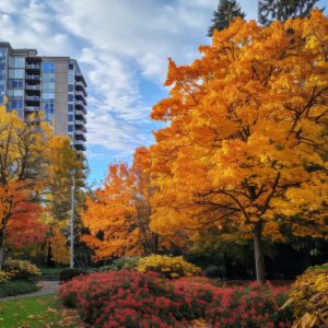 Madison Park Neighborhood