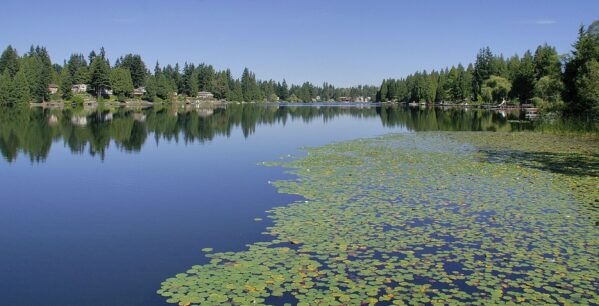 martha Lake neighborhood lynnwood wa